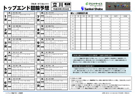 電子版