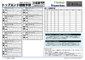 電子版