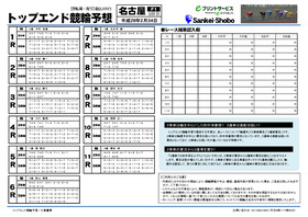 電子版