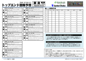 電子版