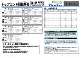 電子版