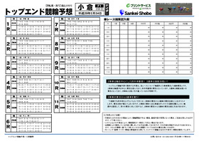 電子版