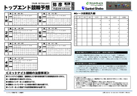 電子版