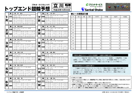 電子版