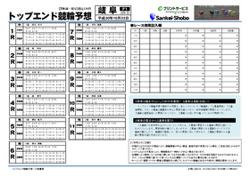 電子版