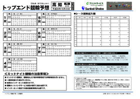 電子版