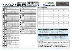 電子版